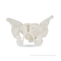 /msite/products/detail/productid/63023235/id/1517769.html